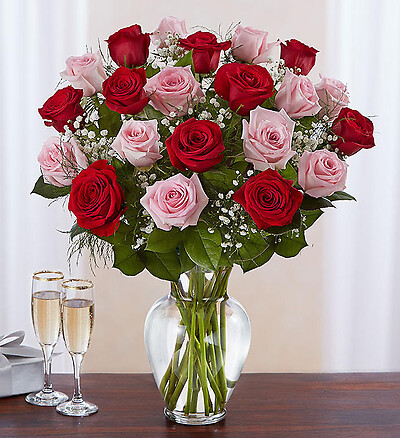 Ultimate Elegance&amp;trade; Long Stem Pink &amp;amp; Red Roses